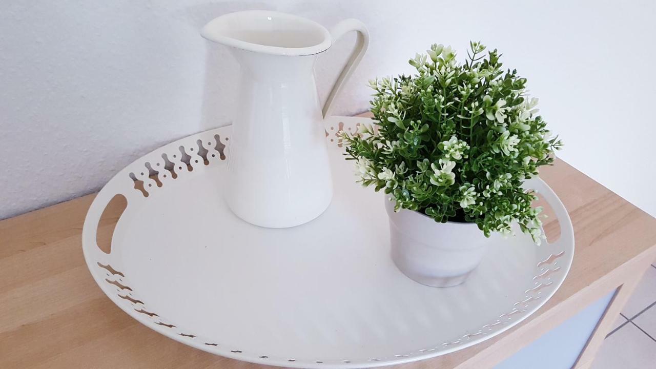 Naehe Mainz - Ferienwohnung - Apartment Breivogel In Wörrstadt Esterno foto