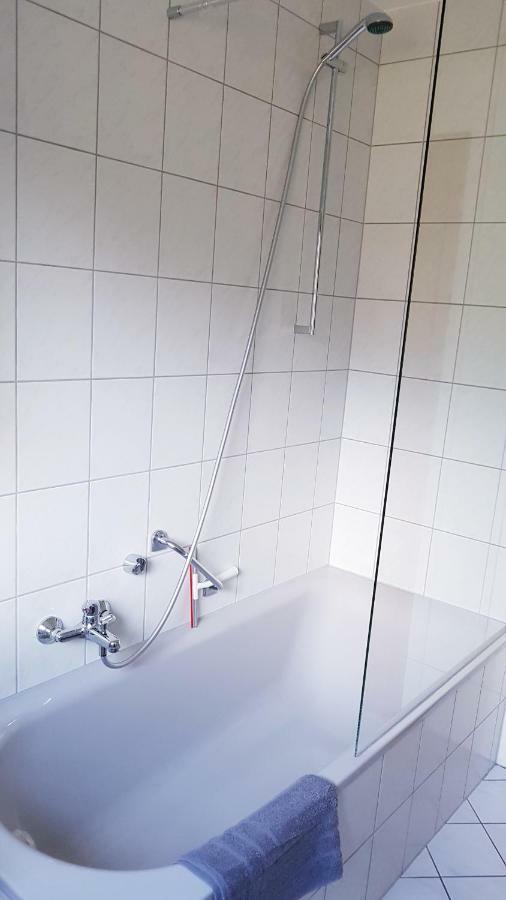 Naehe Mainz - Ferienwohnung - Apartment Breivogel In Wörrstadt Esterno foto